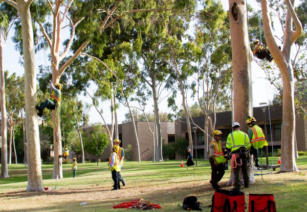  Pre-apprentices training to become skilled arborists at the Educational Cultural Complex